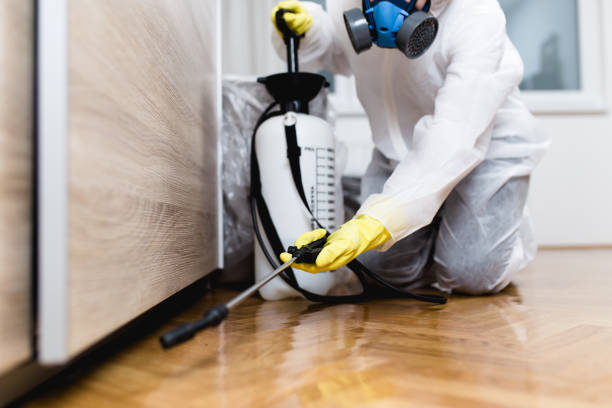 Best Mosquito Control Services  in Buckhead Ridge, FL