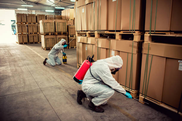 Best Wildlife Control Services  in Buckhead Ridge, FL