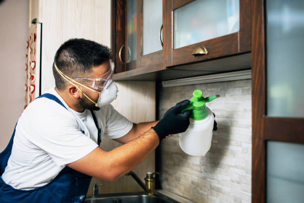 Best Pest Control for Homes  in Buckhead Ridge, FL