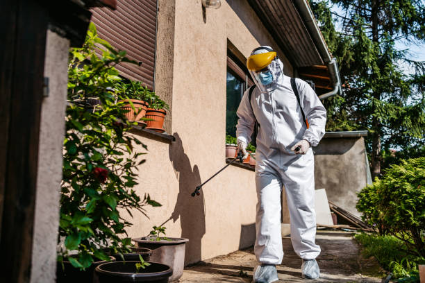 Best Commercial Pest Control Services  in Buckhead Ridge, FL