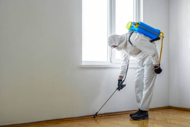 Best Pest Control Near Me in Buckhead Ridge, FL
