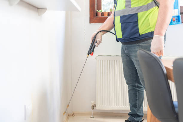 Best Local Pest Control Services  in Buckhead Ridge, FL