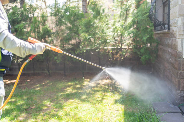 Best Spider Control Near Me  in Buckhead Ridge, FL