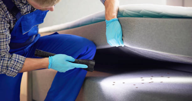 Best Best Pest Control Companies  in Buckhead Ridge, FL